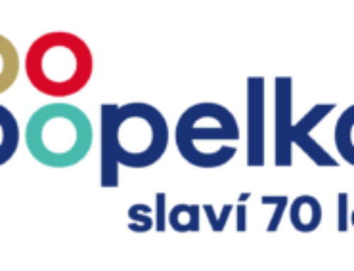 Popelka – 70 let!